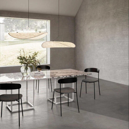 Suspension Luminaire | BLA