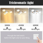 Plafonnier LED Creative Iron